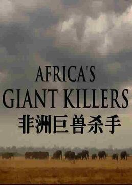 bbc自然世界非洲巨兽杀手第三十三季剧照