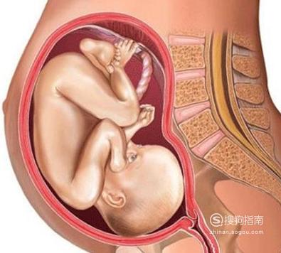 怀孕七个月胎儿图片 怀孕七个月胎儿图