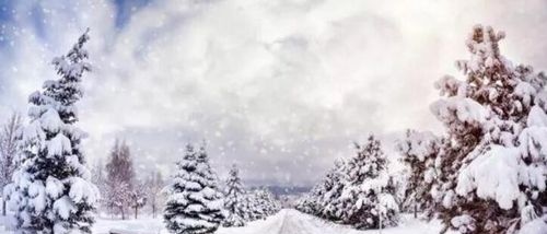 如何用单反相机拍好雪景 如何用单反相机拍好雪景？