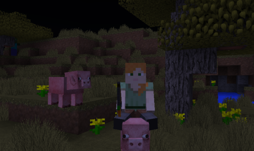 Minecraft我的世界怎么骑猪 搜狗指南