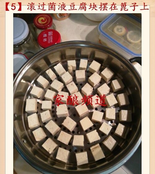 毛豆腐制作方法视频 毛豆腐制作方法