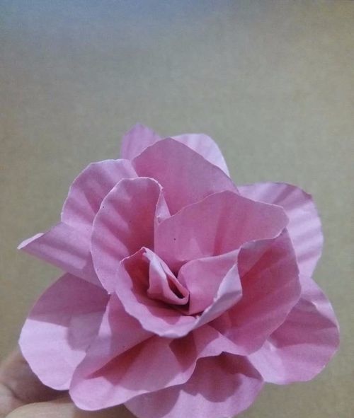 怎样做纸花简单又漂亮 怎么做简单又漂亮的纸花