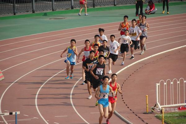 初中女生800米跑步技巧 初中女子800米跑步技巧一定要看优质