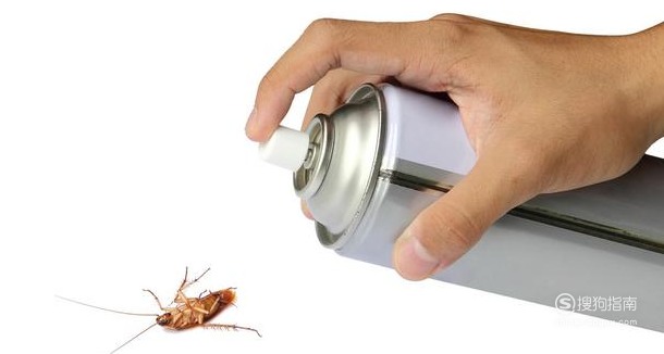 家庭灭蟑螂最好方法 怎样最有效
