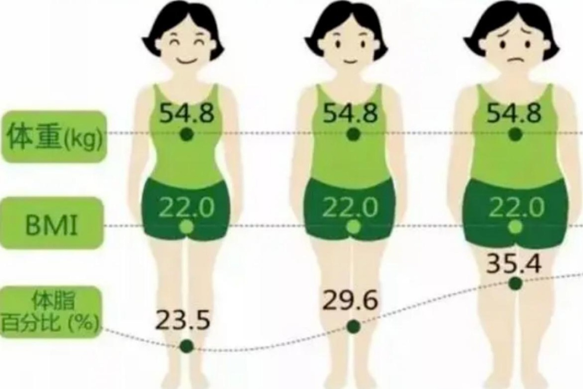 胖瘦的女人用脂肪团来吸引女性插画图片素材_ID:391144818-Veer图库