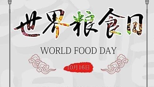 世界粮食日 发展粮食和农业生产举行纪念活动的节日 搜狗百科