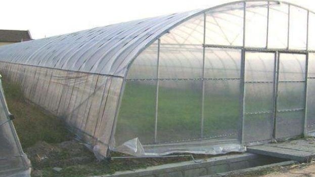 温室大棚 用来栽培植物的设施 搜狗百科
