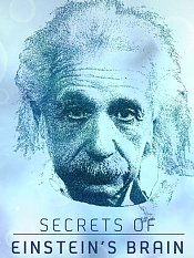 爱因斯坦大脑的秘密
