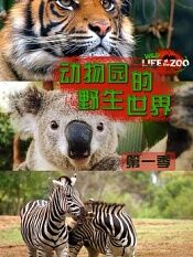 动物园的野生世界第一季