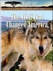 狼改变美国
