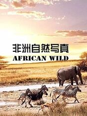 非洲自然写真