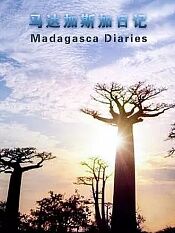 马达加斯加日记