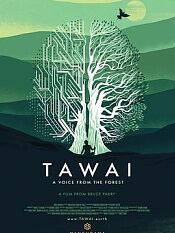 塔瓦伊来自森林的声