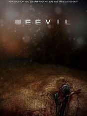 weevil