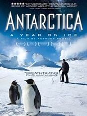南极冰上一年
