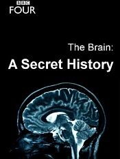 bbc纪录片大脑神秘的历史