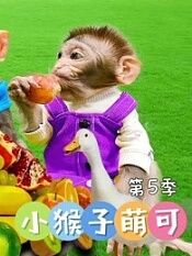 小猴子萌可第五季