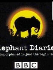 大象日记第二季