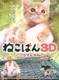 小猫跳出来3D