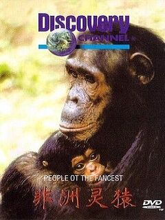 peopleoftheforestthechimpsofgombetv