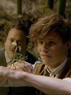 Fantastic Beasts and Where to Find Them: Bowtruckle