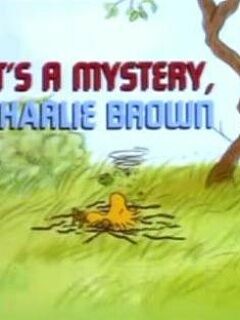 查理·布朗之谜